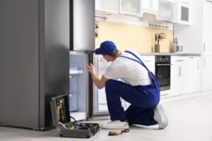 Refrigerator repair royal services