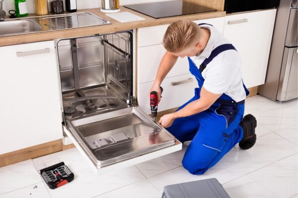 Dishwasher Service royal services